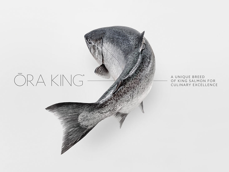 Der König der Lachse – Ora King Salmon by WINDGES, EDEKA Frische Center, Hochdahler Markt, Erkrath