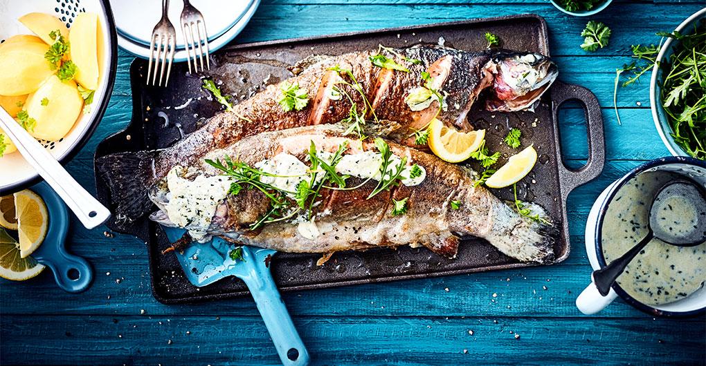 Fischers Fritze fischt frische Forellen